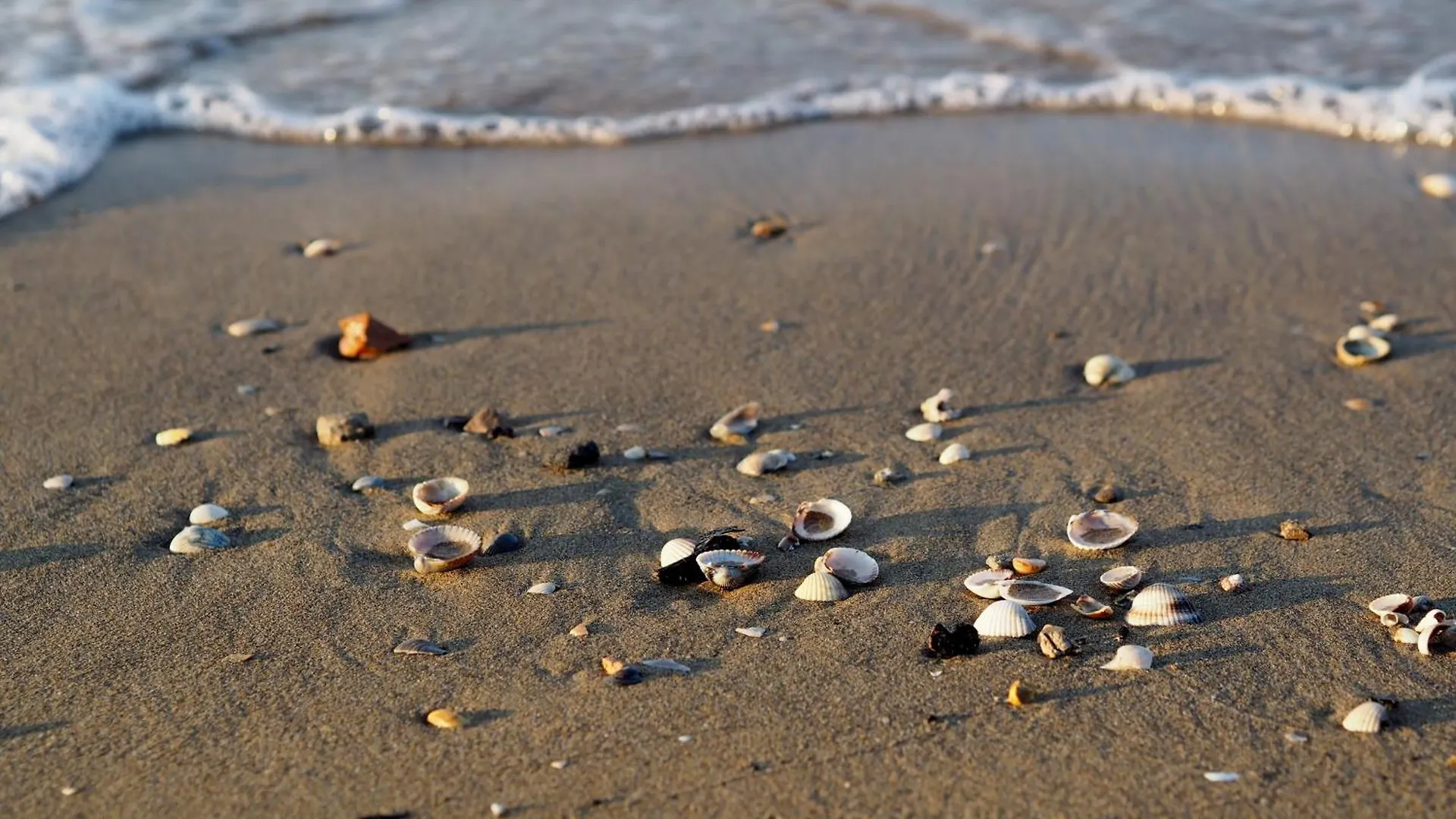 Homely Bright Flat On The Shores Of Bibione Italia